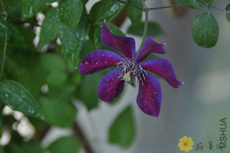 nEO_IMG_��Ƭ 122.jpg