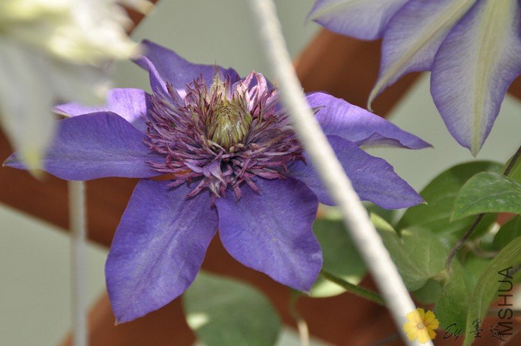 nEO_IMG_��Ƭ 129.jpg