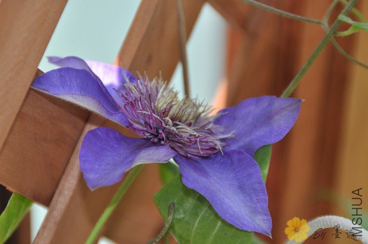 nEO_IMG_��Ƭ 126.jpg