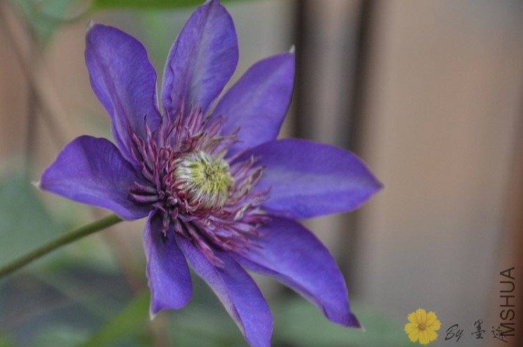 nEO_IMG_��Ƭ 285.jpg