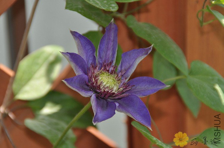 nEO_IMG_��Ƭ 127.jpg