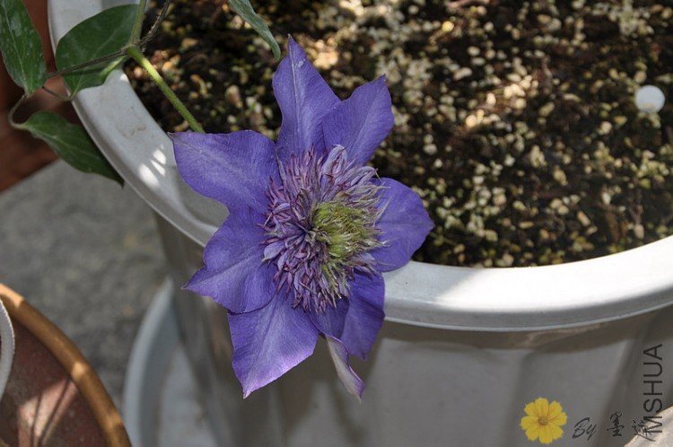 nEO_IMG_��Ƭ 131.jpg