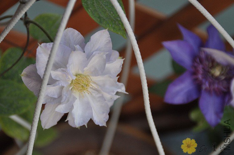 nEO_IMG_��Ƭ 284.jpg