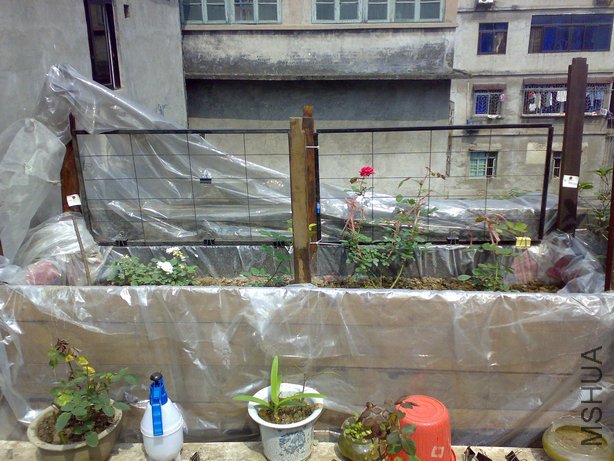 20100502169.jpg