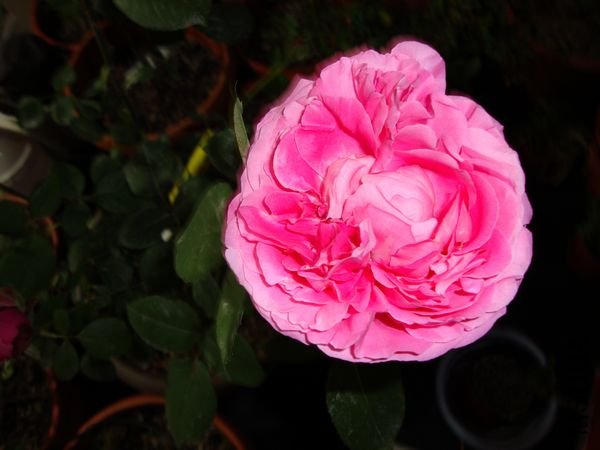 nEO_IMG_DSC00179.jpg