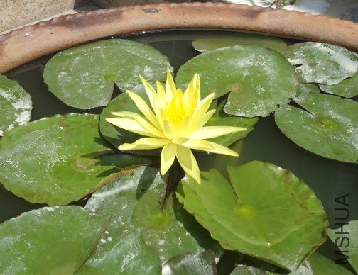 ���ֿ�����ô��