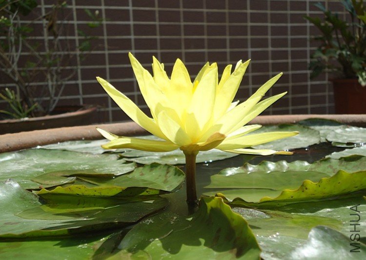 ���ֿ�����ô��