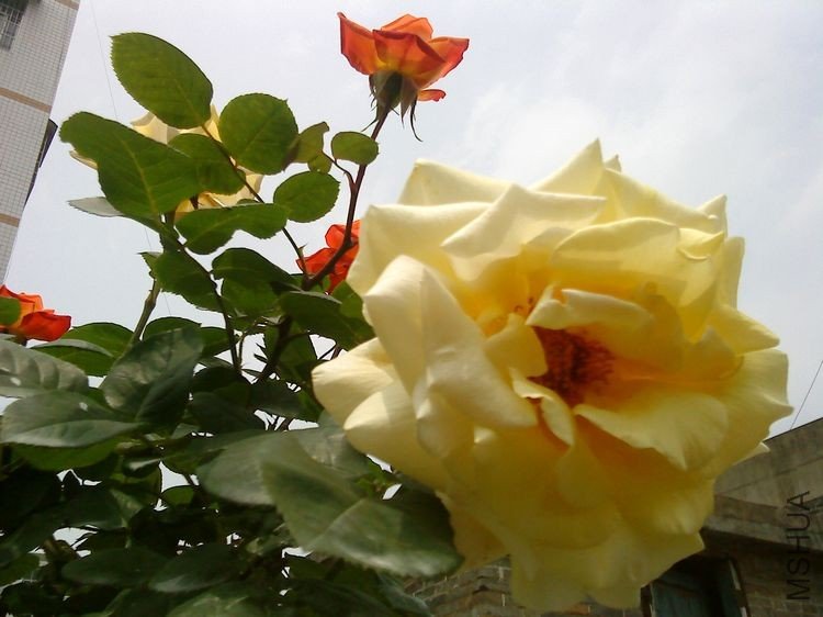 DSC00643.JPG