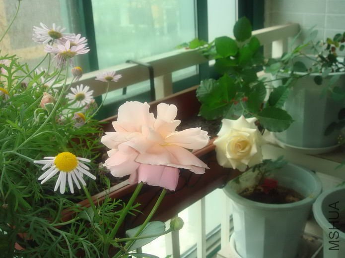 DSC04851_2_������С.jpg