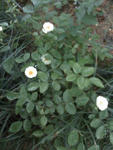  �����¼� ����.jpg