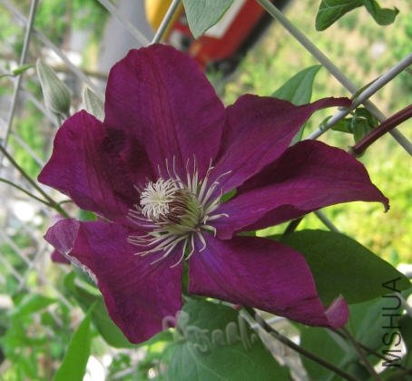 2010-05-04 ��������-do.jpg