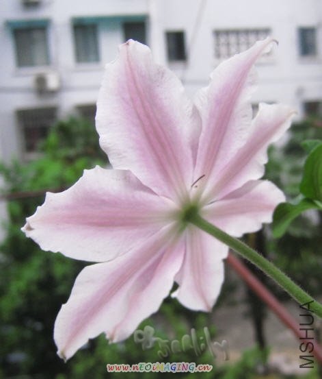 2010-05-05 ���ɱȱ�Ӱ1-do.jpg