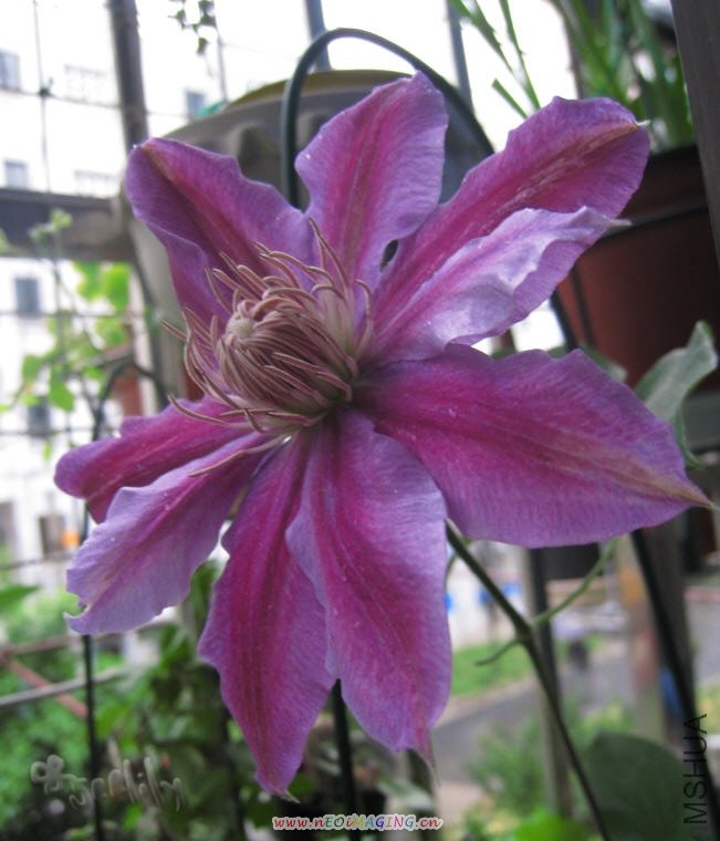 2010-05-05 ����-����-do.jpg