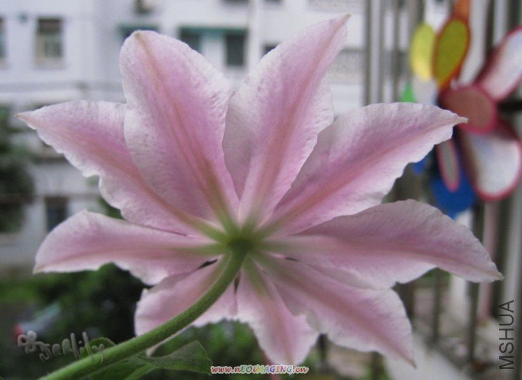 2010-05-05 ���ɱȱ�Ӱ-do.jpg