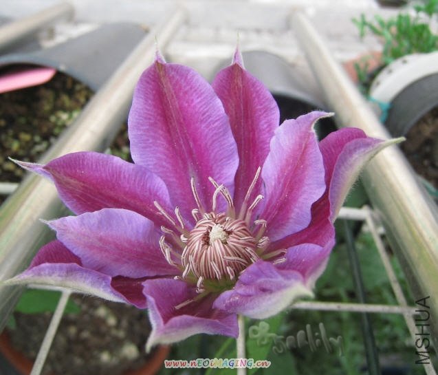 2010-05-04 ����-do.jpg