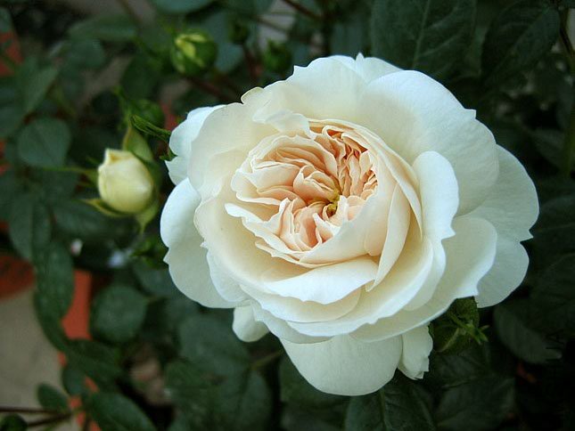 �� �� (2).jpg