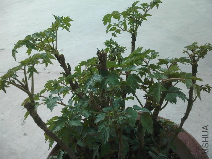 050510182654.jpg