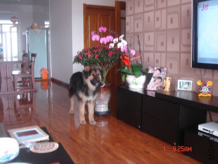 DSC01453.JPG