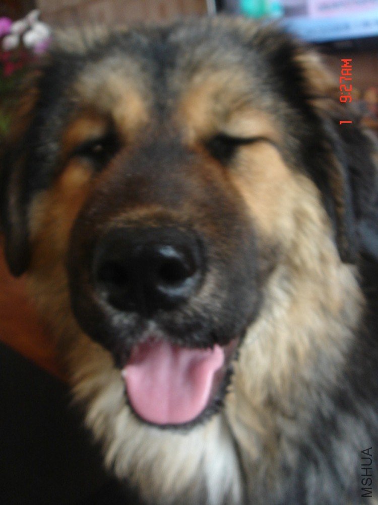 DSC01475.JPG