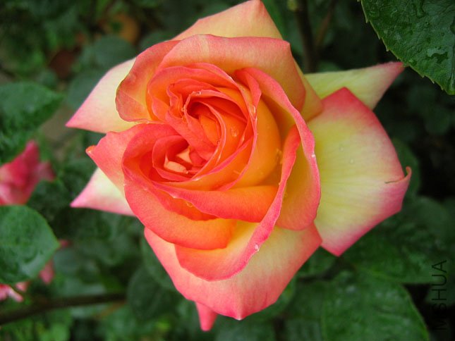 ���� (1).jpg