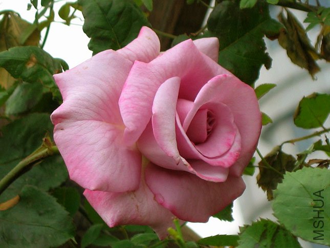 �� ����.JPG