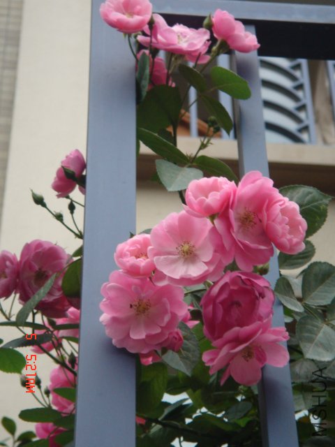 DSC03263.JPG