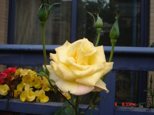 DSC03249.JPG