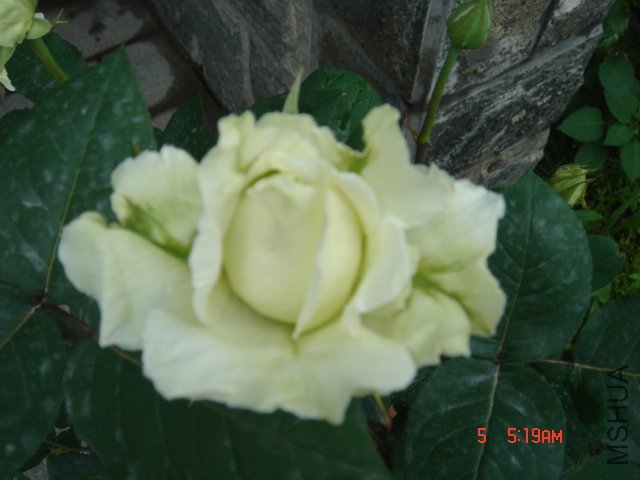 DSC03256.JPG