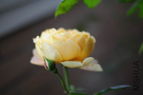 ������С 20100503 191.jpg