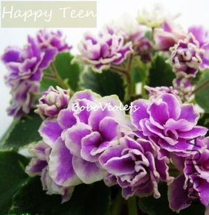 ������ Happy Teen-��ۣ����꣩.jpg