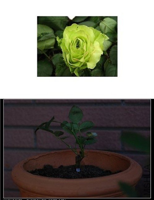 5-7�̲�С��.jpg