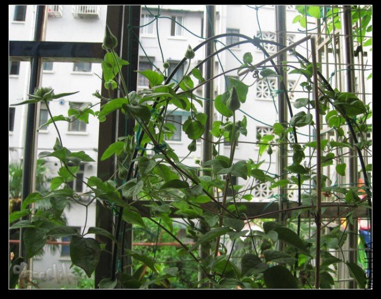 2010-05-06 С��-do.jpg