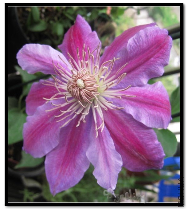 2010-05-06 ����-do.jpg