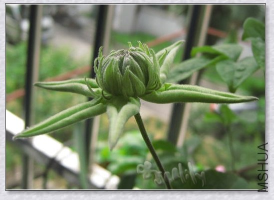 2010-05-06 С����д-do.jpg