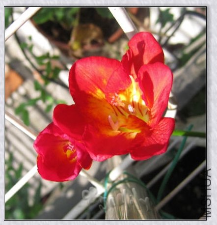 2010-05-07 ����1-do.jpg