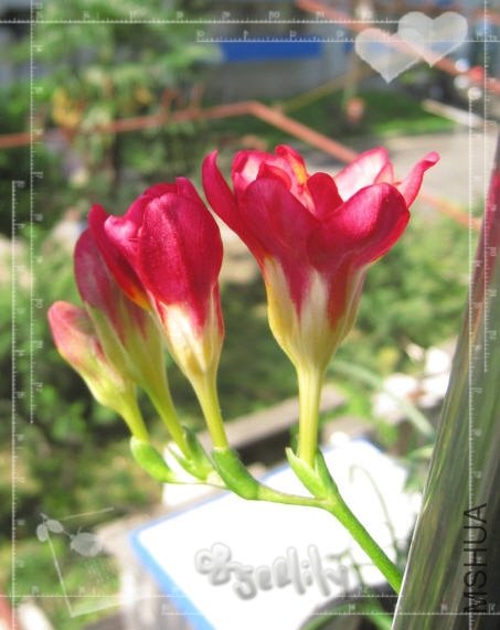 2010-05-07 ����-do.jpg