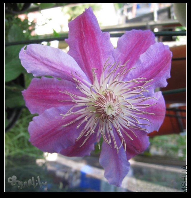 2010-05-07 ����-do.jpg