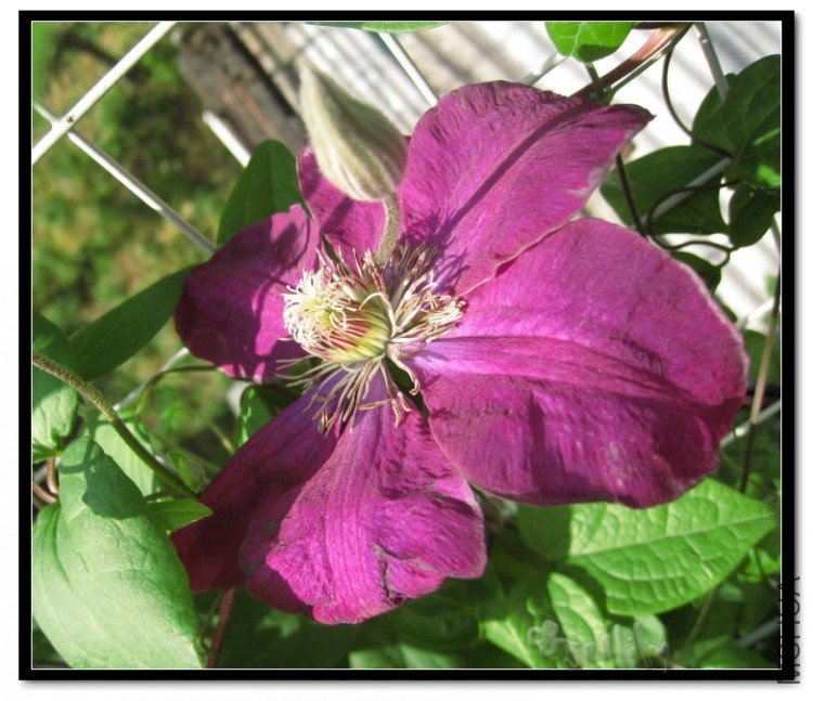 2010-05-07 ��������-do.jpg