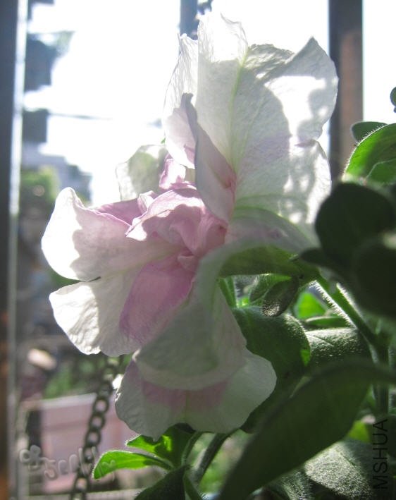 2010-05-07 ����-do.jpg