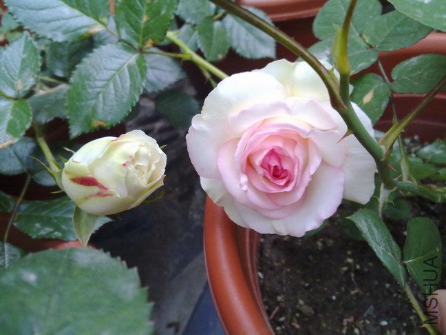 201005073157.jpg