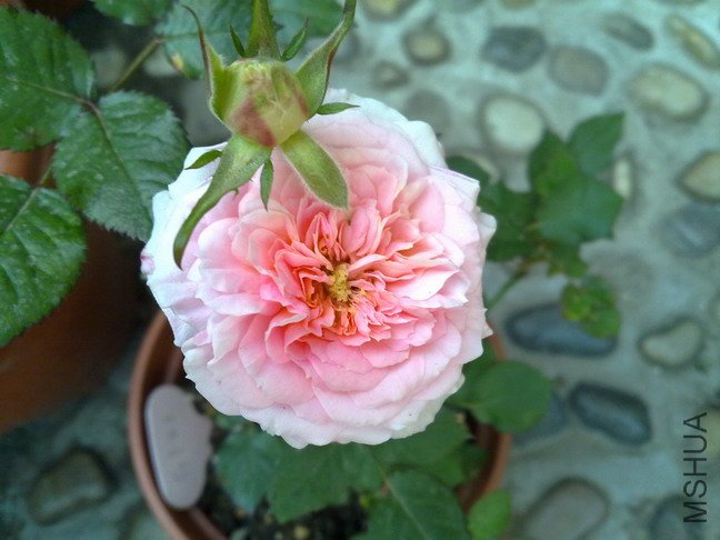 201005032737.jpg