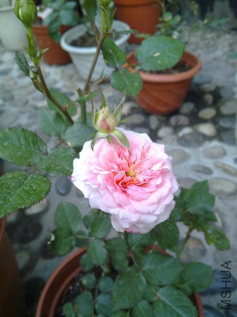 201005032739.jpg