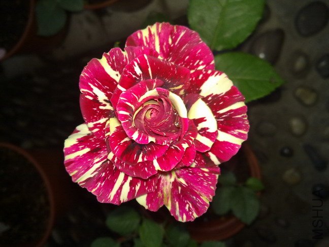 201005052861.jpg