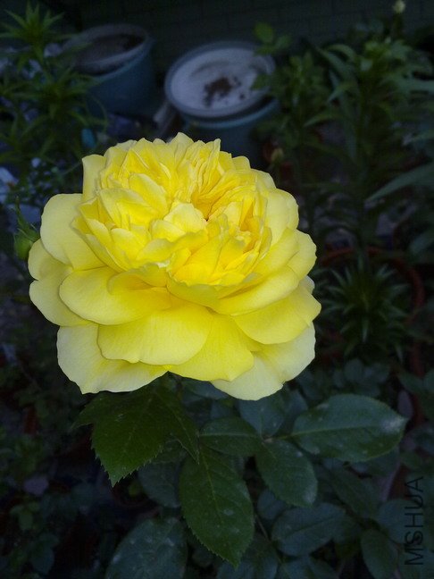 201005073139.jpg