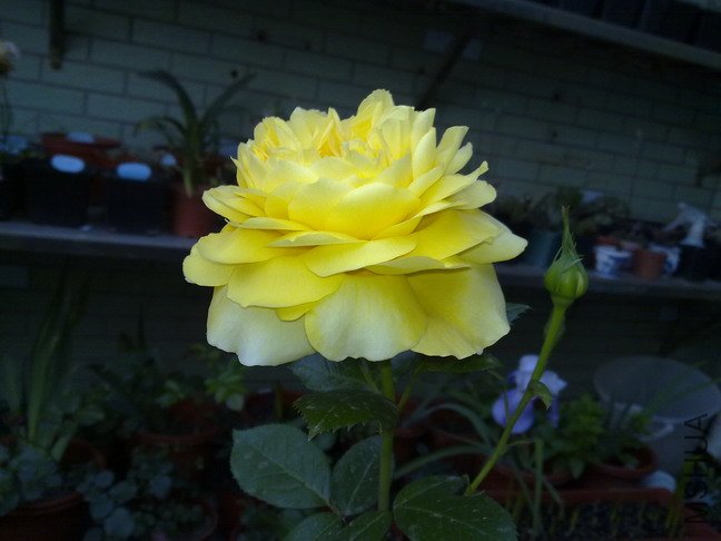 201005073110.jpg