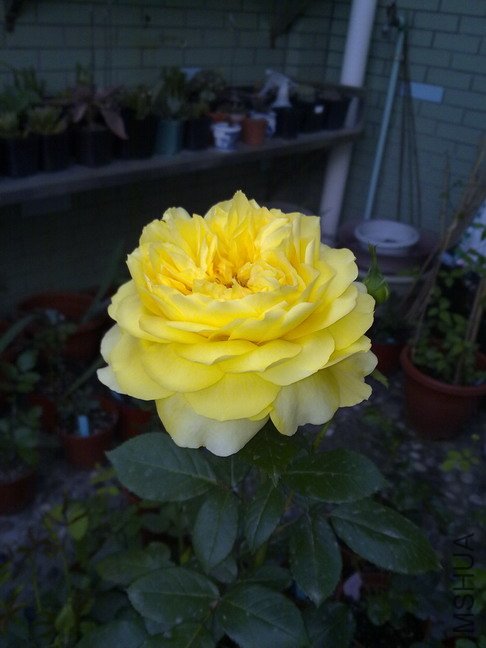 201005073113.jpg