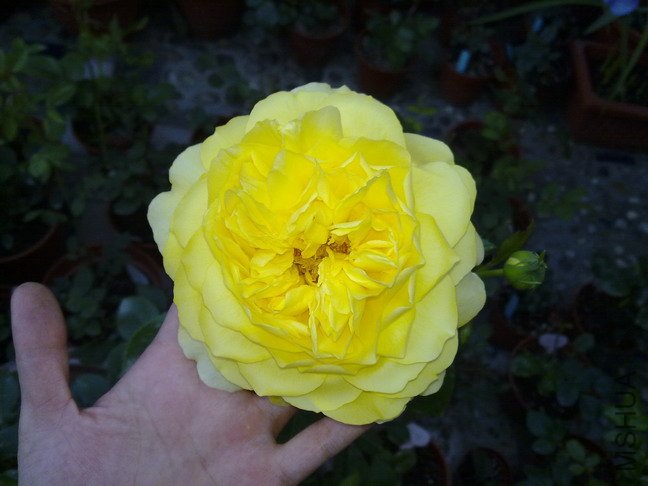 201005073130.jpg