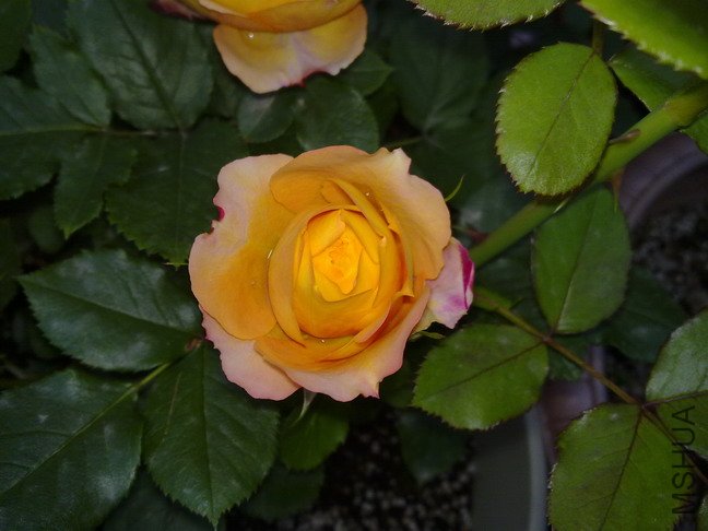 201005073115.jpg