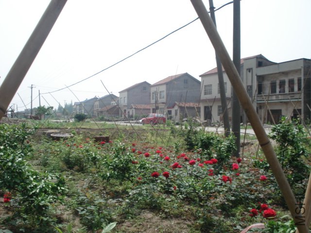 DSC03804.JPG