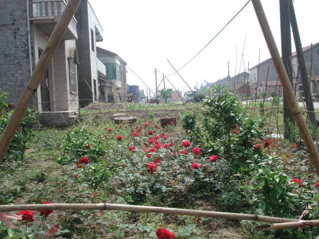 DSC03807.JPG